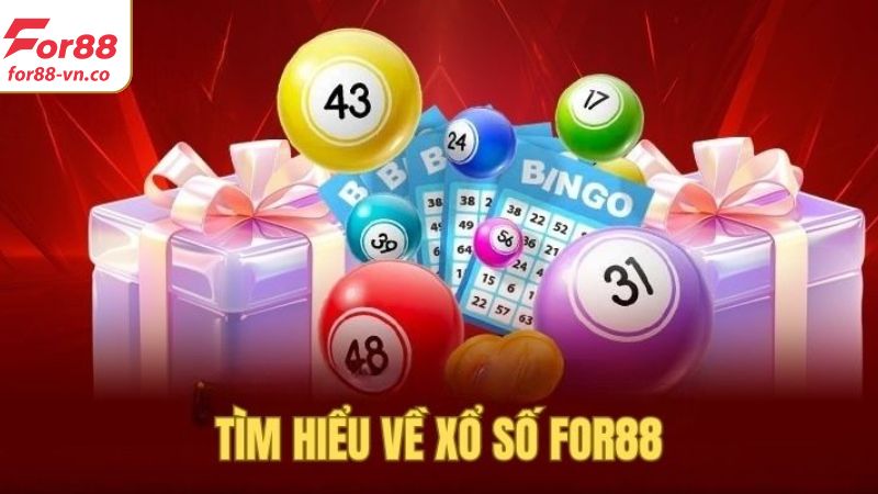 Tổng hợp những nét chính về xổ số For88